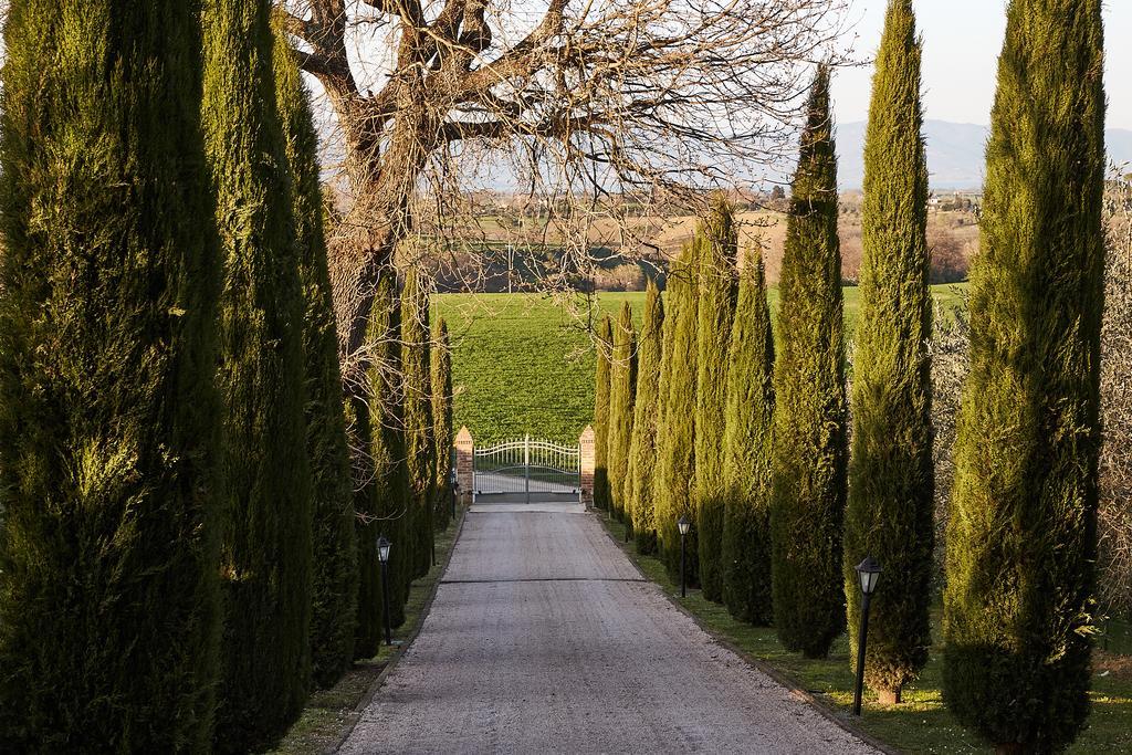 Podere Fontegallo Castiglione del Lago Buitenkant foto