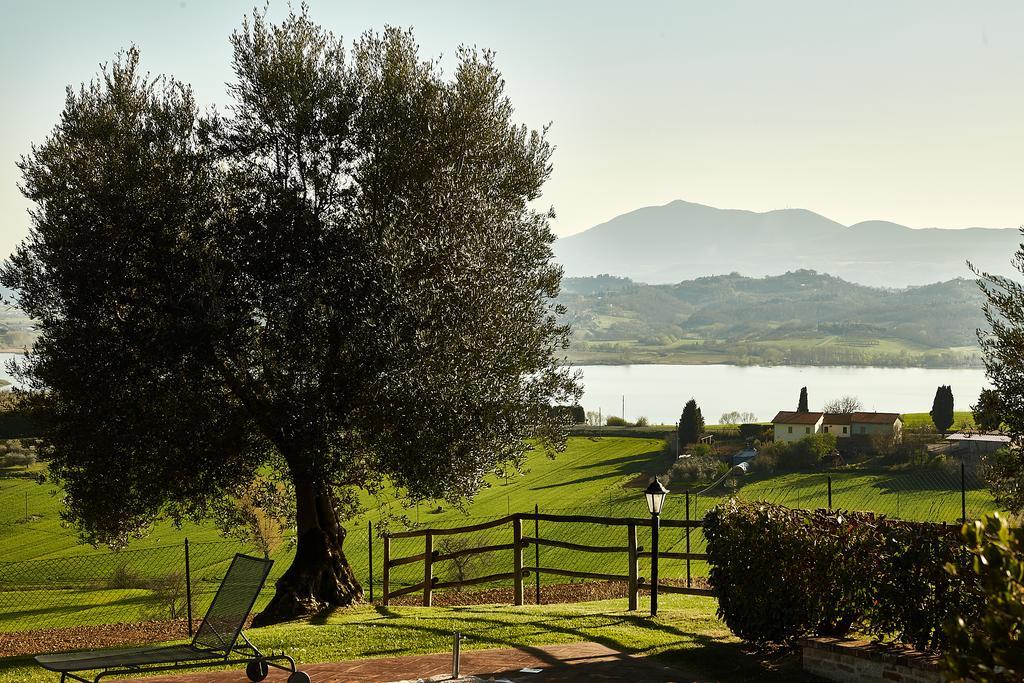 Podere Fontegallo Castiglione del Lago Buitenkant foto