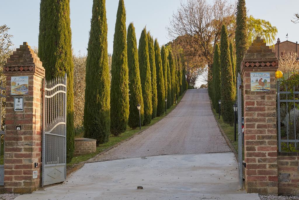 Podere Fontegallo Castiglione del Lago Buitenkant foto