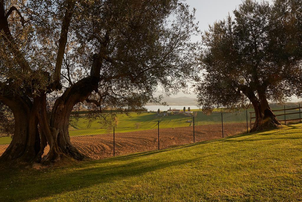 Podere Fontegallo Castiglione del Lago Buitenkant foto